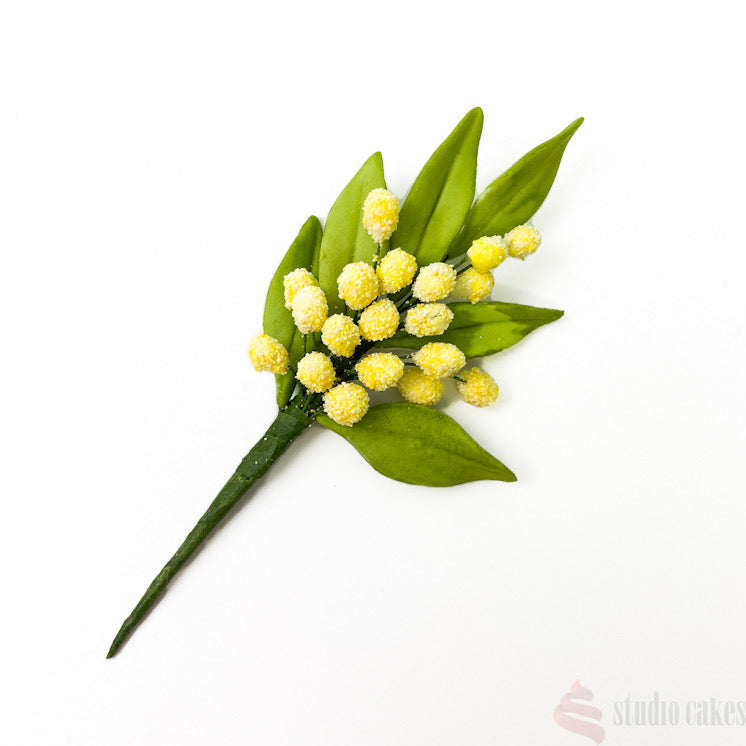 Sugar Flowers - Wattle Spray