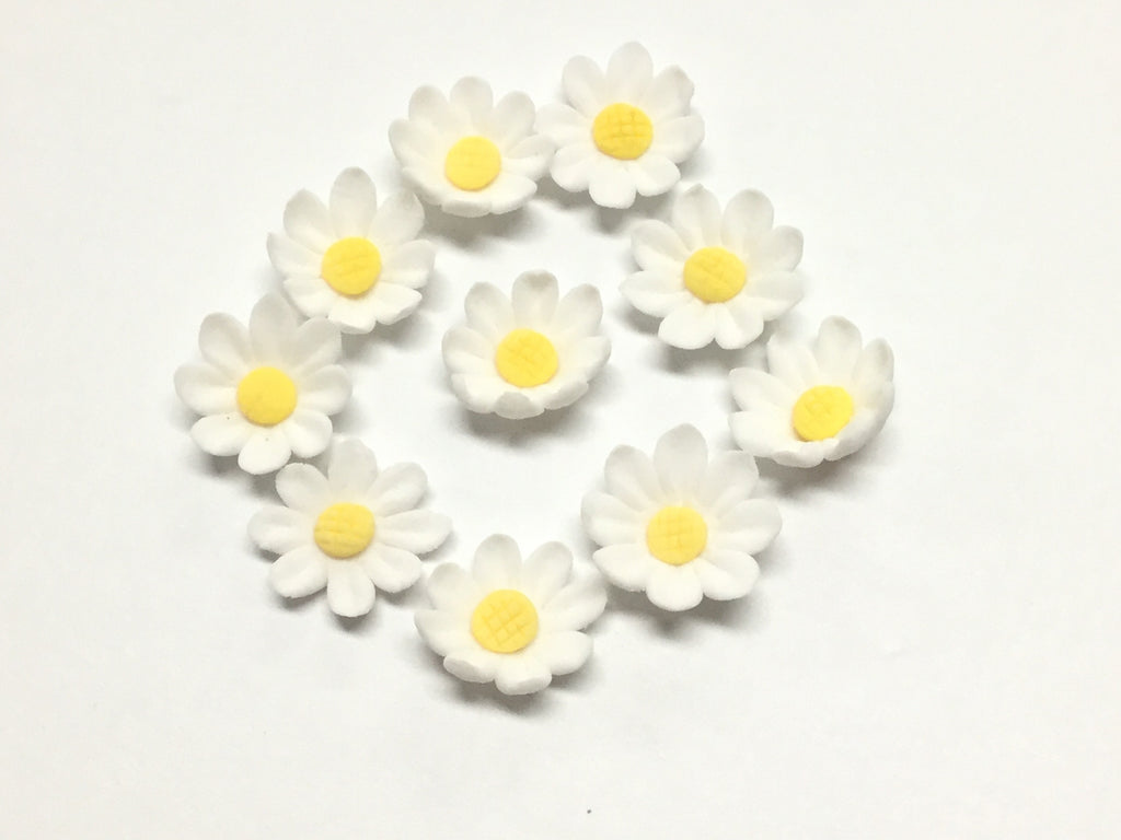 Sugar Flowers - Daisy blooms - White (10pk)
