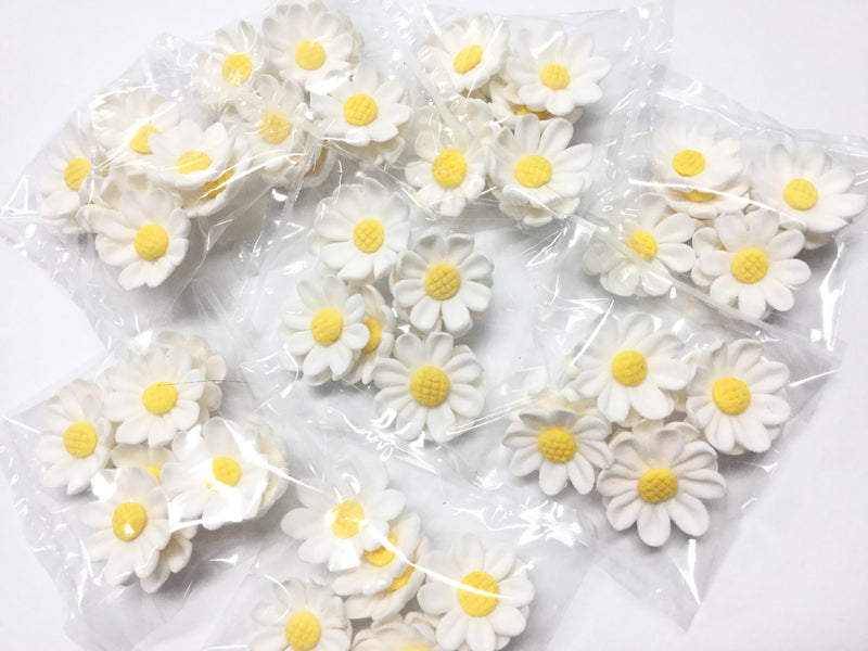 Sugar Flowers - Daisy blooms - White (10pk)