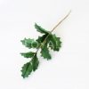 Silicone Mould - Holly Leaf Veiner